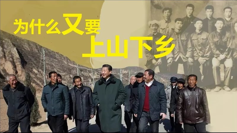 为什么又要上山下乡(网络视频截图)